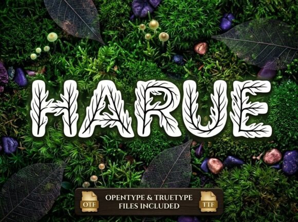 Discovering the Visual Power of the Harue Typeface